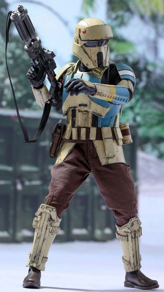 24a4a8774b03d31989917b764256c506